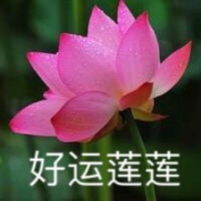 秘境对决果盘手游下载